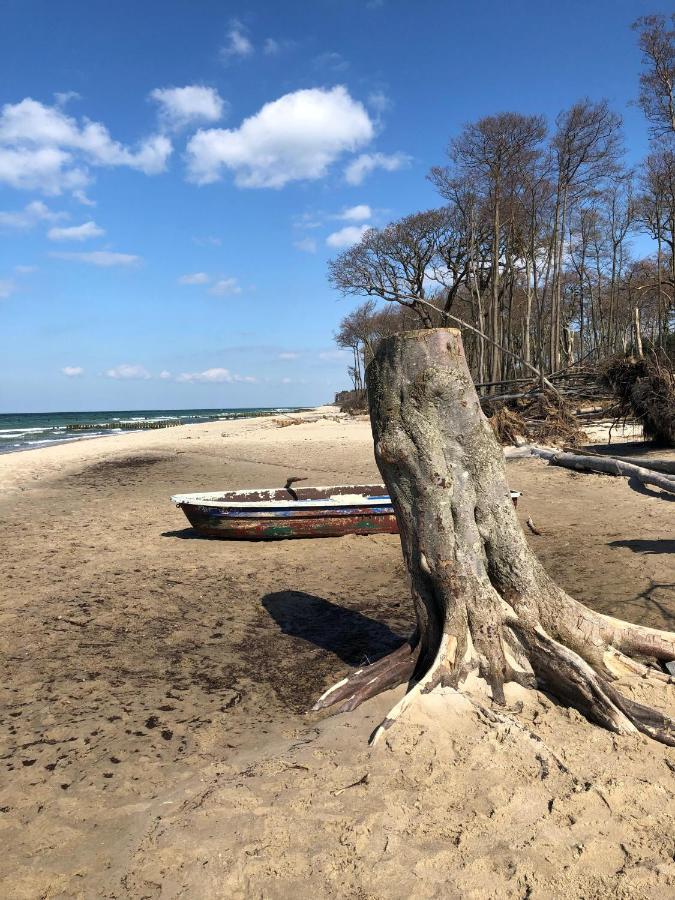 Ferienwohnung Kwi 63 Og Graal-Mueritz Eksteriør bilde